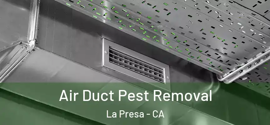 Air Duct Pest Removal La Presa - CA