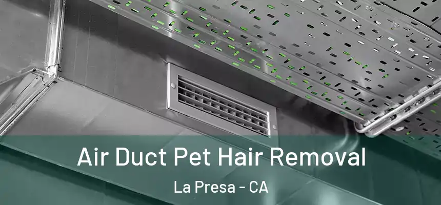  Air Duct Pet Hair Removal La Presa - CA