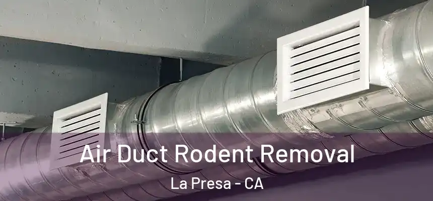 Air Duct Rodent Removal La Presa - CA