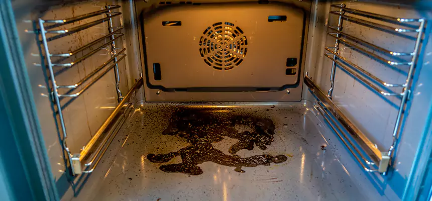 Our Dryer Vent Mold Cleaning Services in La Presa, CA