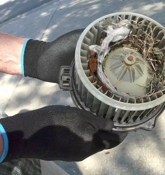 About Air Duct Mice Removal in La Presa, CA