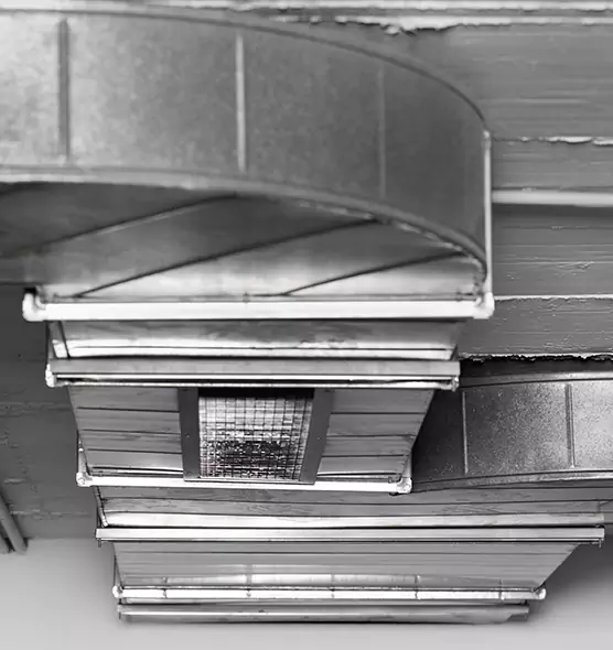 Professional Air Duct Pest Removal in La Presa, CA