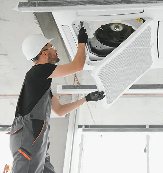 About Air Duct Rodent Removal in La Presa, CA