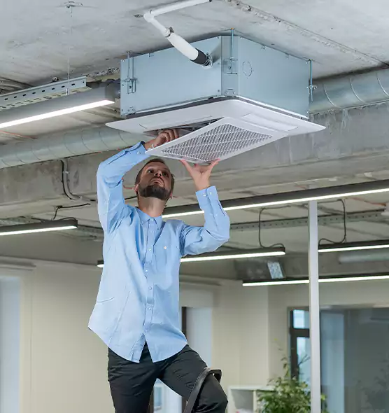 Advanced Rodent Droppings In Vents in La Presa, CA