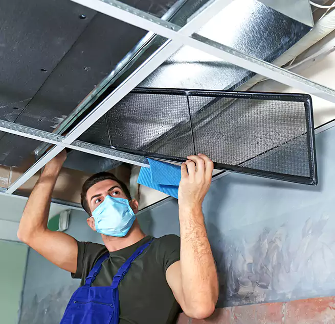 Why Homeowners Businesses Trust Us in La Presa, CA