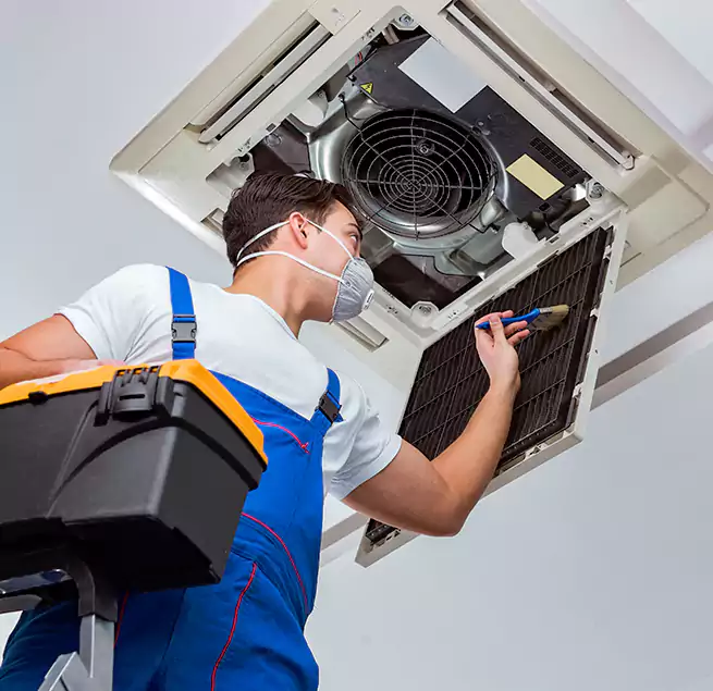 Why Homeowners & Businesses Trust Us in La Presa, CA