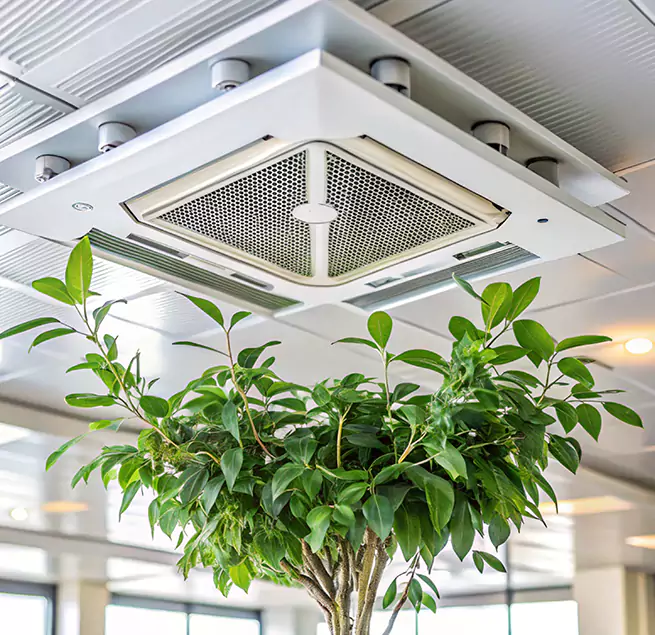 Why Homeowners & Businesses Trust Us in La Presa, CA