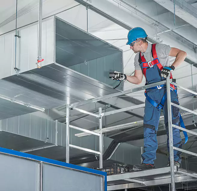 Why Homeowners Businesses Trust Us in La Presa, CA