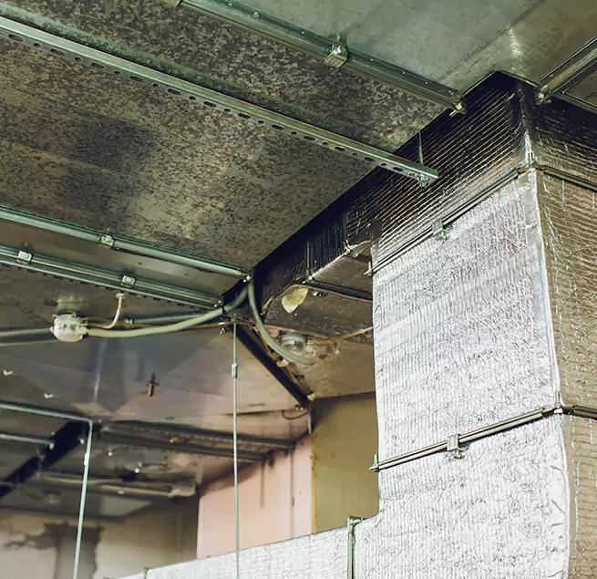 Why Homeowners & Businesses Trust Us in La Presa, CA?